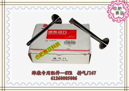 濰柴發(fā)動(dòng)機(jī)核心配件 氣門(mén)與部件、起動(dòng)機(jī)及配件產(chǎn)品全覽